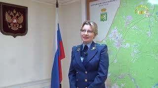 На законных основаниях. Дрова