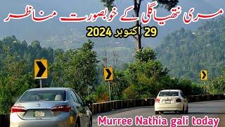 murree live today | #nathiagali Live Today | #murree weather today | pakistan #snowfall update #2024