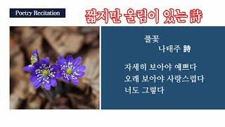 짧지만 울림이 있는 詩/ 시 모음