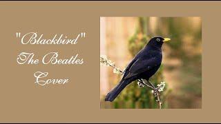 "Blackbird"  The Beatles ( Елена Торопцева Cover).