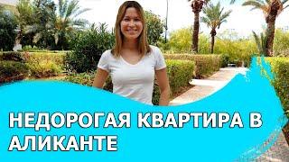 Недвижимость в испании. Квартира в аликанте. жизнь в испании. alexhomeinvest