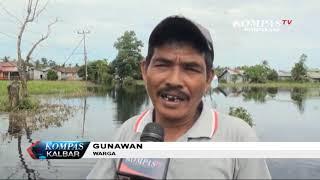 Rumah dan Sawah Terendam, Begini Banjir di Kubu Raya