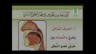 كيفية حدوث الحروف في جهاز النطق الانساني ج-1( تعريف الحرف - الحرف الساكن والمتحرك)- برنامج الاتقان