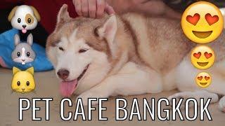 Pet Cafe's BANGKOK