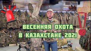 Все о ВЕСЕННЕЙ ОХОТЕ  в Казахстане! Сезон 2021 ‼️‼️