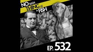 Ep 532: No Such Thing As 'Is It Mushroom?'