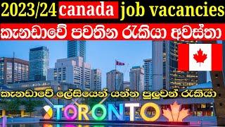 canada job vacancies 2023/24  | කැනඩාවේ රැකියා අවස්තා