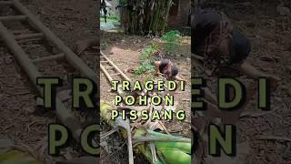 Banana Tree Tragedy #funny #comedy #jokes #joking