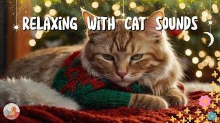 Music For Cats  Relaxation | Stress Relief | Peaceful JazzMusic  Love Pet