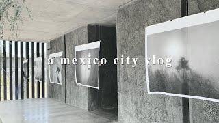 Visiting 9 museums in Mexico City and feasting at Quintonil & Contramar!