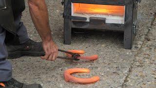 Belgian Draft Horse: a farrier and red-hot horseshoes