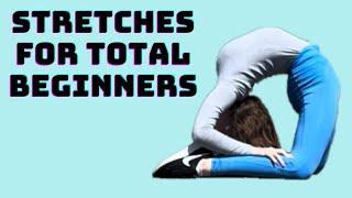 10 MIN Full Body Stretch for Total BEGINNERS!