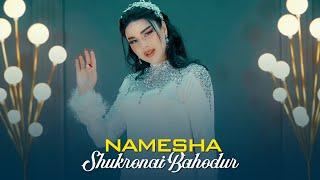 Шукронаи Баходур - Намеша | Shukronai Bahodur - Namesha