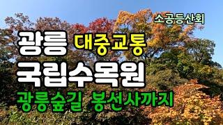 국립수목원(광릉) 탐방 #서울근교 최고 단풍명소 #광릉숲으로 봉선사까지 걷기 #우리나라 3대 전나무숲길