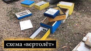 Пчеловоды в растерянности, схема «вертолёт» и улья 6,8,10,12 спаренные и одинарные!