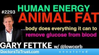 GARY FETTKE m3 | HUMAN ENERGY: ANIMAL FAT…body gets rid of glucose in blood