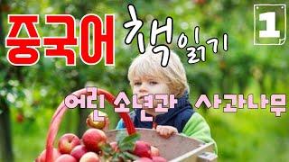 중국어 책 읽기 ; 낭독 자료 ; [ 어린  소년과  사과나무 1 ] ; 독학 난이도 