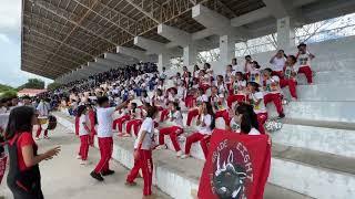 CNHS INTRAMURALS BENCH YELL COMPETITION CHAMPION - GRADE 8 TARGARYENS