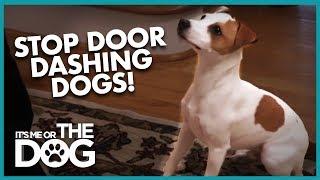 How to Stop Dogs From Door Dashing | It's Me or the Dog