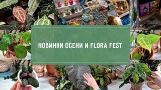 НОВИНКИ РАСТЕНИЙ осени и Flora Fest