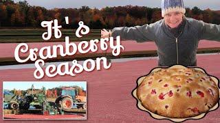 Everything CRANBERRY: From Harvest to Delicious Desserts