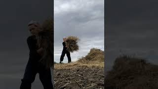 Деревенские дела