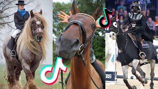 The Best HORSE - TikTok Compilation #50