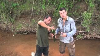 BOLIVIE : trek de SURVIE en AMAZONIE -1-  trouver à manger