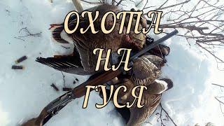 Охота на гусей в тундре. Весна 2018. Камчатка! Пенжина. / Solo goose hunt in the tundra. Nice shots.