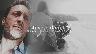 steve + danno | miss you already