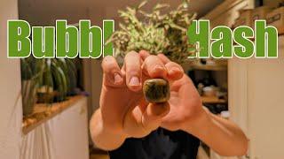 Wie du aus deinen Schnittresten hochwertiges Bubble Hash herstellen kannst