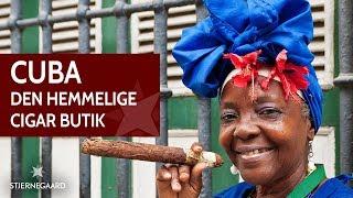 Cuba rejser - Den hemmelige cubanske cigar butik | Stjernegaard