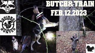 Squirrel&Coon hunting with Butch and Train