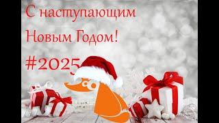 С новым, 2025 годом!