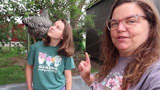 Homestead Animals|| Meet Samantha Our Friendly Lovable Spoiled Chicken!