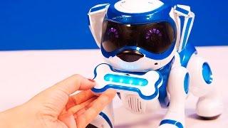 Teksta | El perro robot