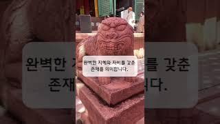 [한번에 쉽게 설명합니다] 부처님이란?!