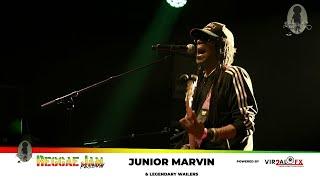 JUNIOR Marvin and the Legendary Wailers LIVE at Reggaejam 2023