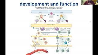 BIO 253 Zoom Lecture Chapter 13 part 1