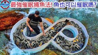 [生物放大鏡] 催眠捕魚術是真是假? | 泰國催眠魚師 | 能催眠魚的陷阱 !?