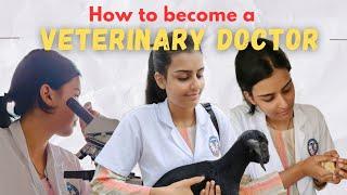 How to become a Veterinary Doctor in India  | Complete Process #vet #neet #new#veterinary #newvideo