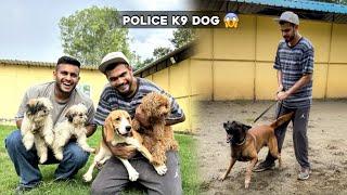 India’s Biggest K9 Dog Training Academy in Delhi 