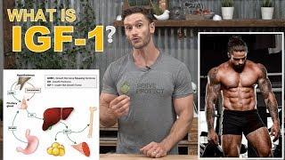 What is IGF-1? Growth Factors for Bodybuilding by Thomas DeLauer - Deer Antler Velvet Extract