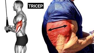 6 Killer Tricep Exercises to Build Bigger Arms at the Gym | Tricep Workout