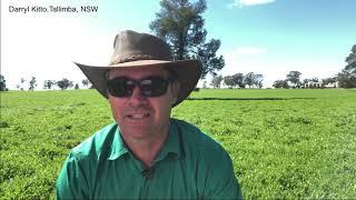 NSW DPI - Pasture Management - Reasons for growing hardseeded legumes