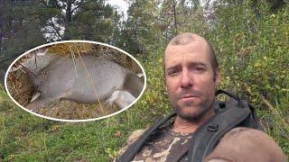 Island Contest For Ten, $500,000 Prize. Man Hunts A 130-Pound Black Deer To Survive.