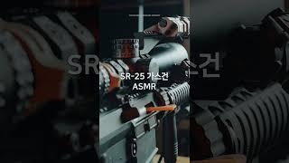 총합 2000만원 넘는 가스건 ASMR, SR-25 스나이퍼건 에어소프트 비비탄총