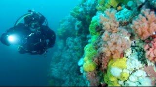 Scuba Dive British Columbia, Canada - I LOVE BC!