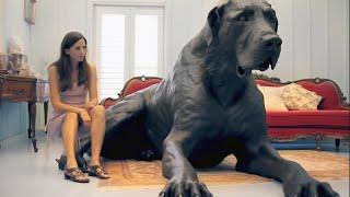 20 Abnormally Large Dogs That Actually Exist