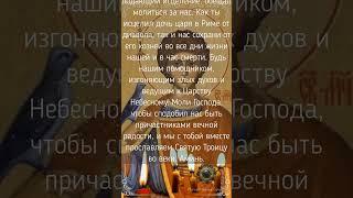 Сильная  молитва святому великомученику Трифону о помощи, покровительстве и помощи в  работе.